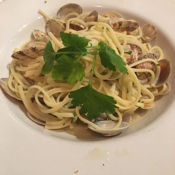 Trattoria Abruzzo - Italian Near Me - Naples, Florida Trattoria Abruzzo - Italian Near Me - Naples, Florida