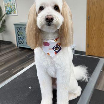 Furs A Flyin' - Pet Groomers Near Me - Mankato, Minnesota Furs A Flyin' - Pet Groomers Near Me - Mankato, Minnesota
