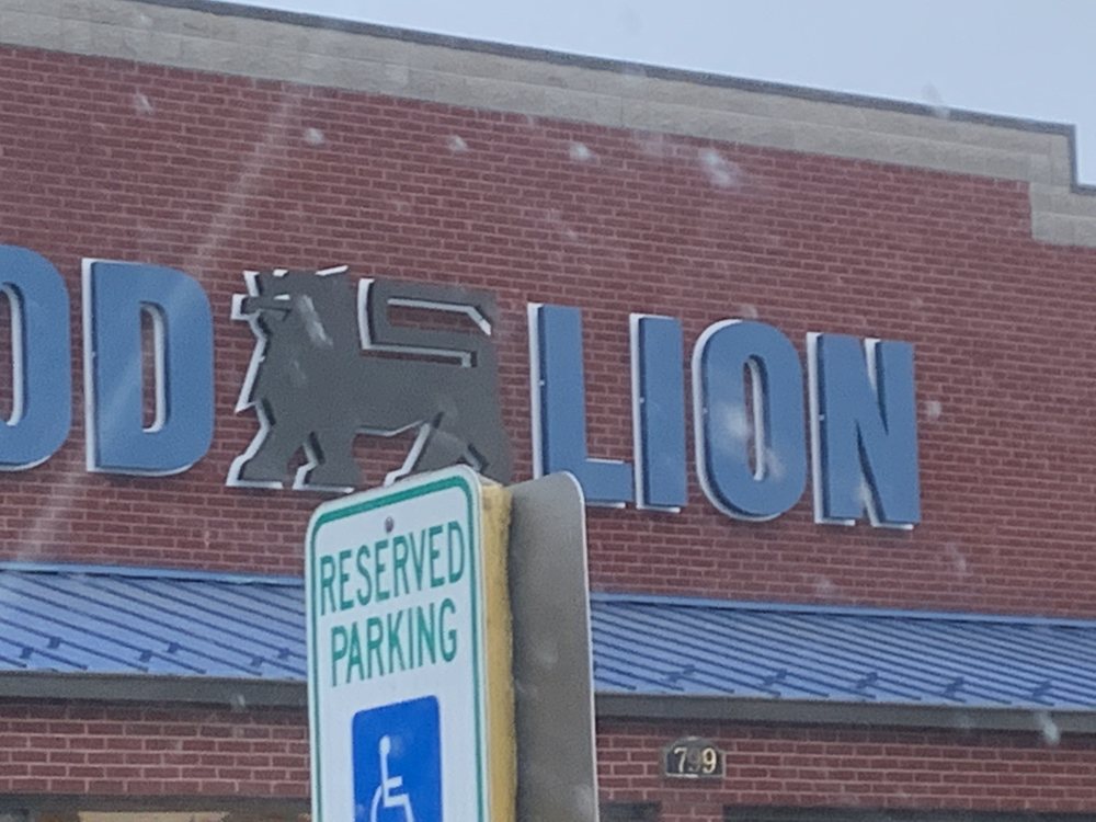 Food Lion Logo