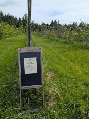Dragon's Head Cider Orchard by null