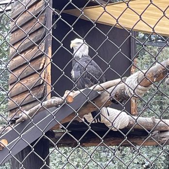 Heritage Park Zoological Sanctuary - Zoos Near Me - Prescott, Arizona