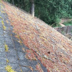 Aa Window And Gutter Cleaning 61 Photos 284 Reviews Gutter Services 8826 122nd Ave Ne Kirkland Wa United States Phone Number