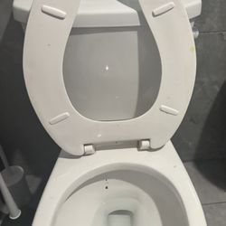 Ace’s Fitness - The other bathroom, poop and pee for days