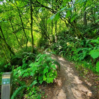 Hoyt Arboretum - Trail - Botanical Gardens Near Me - Portland, Oregon