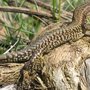 Photo of La Garrotxa Nationalpark