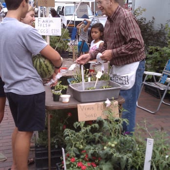 Riverfront Farmers Market - venus fly traps and other plants for sale at the market (early July) - Farmers Market Near Me - Wilmington, North Carolina Riverfront Farmers Market - venus fly traps and other plants for sale at the market (early July) - Farmers Market Near Me - Wilmington, North Carolina