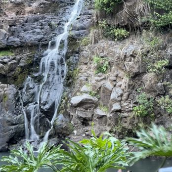 Polynesian Adventure - Bus Tours Near Me - Honolulu, Hawaii