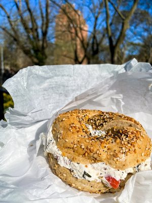 Tompkins Square Bagels by null