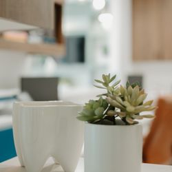 South Metro Dentistry - Decor