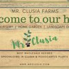 Mr. Clusia gift card