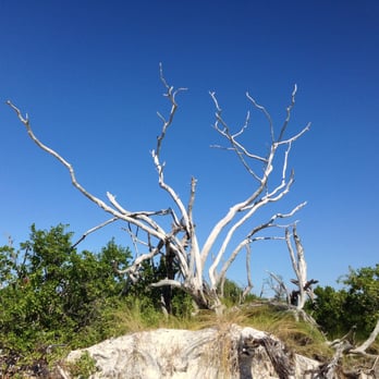 Cayo Costa State Park - Beaches Near Me - Cayo Costa, Florida