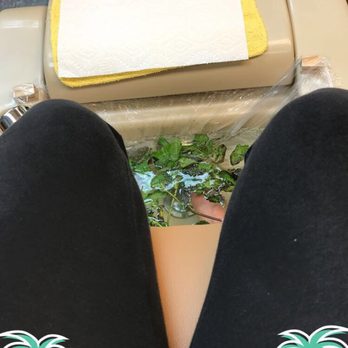 Green Organic Nail Salón - Nail Salons Near Me - Lyndhurst, New Jersey