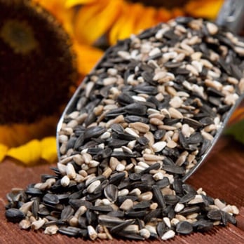 Diehl Feed South - High quality mixes popular with Cardinals. High percentage of sunflower and safflower. - Pet Stores Near Me - Saint Louis, Missouri Diehl Feed South - High quality mixes popular with Cardinals. High percentage of sunflower and safflower. - Pet Stores Near Me - Saint Louis, Missouri