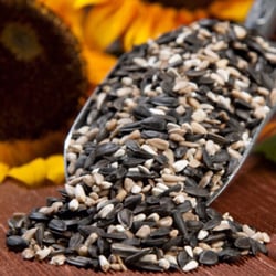 Diehl Feed South - High quality mixes popular with Cardinals. High percentage of sunflower and safflower.