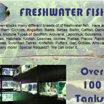 Fish Den - Pet Stores Near Me - Denver, Colorado Fish Den - Pet Stores Near Me - Denver, Colorado