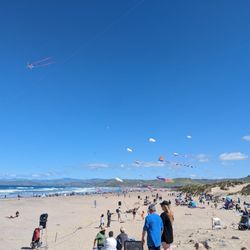 Morro Bay Kite Festival