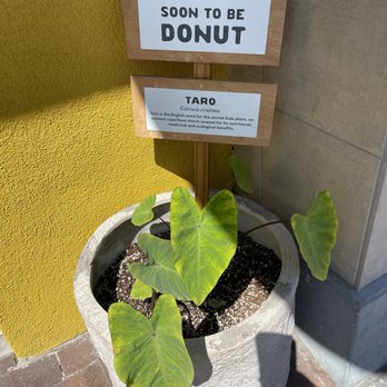 Holey Grail Donuts - Future donut - Donuts Near Me - Long Beach, California Holey Grail Donuts - Future donut - Donuts Near Me - Long Beach, California