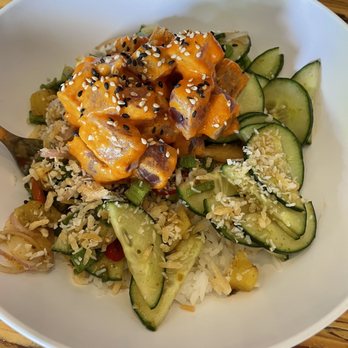 Homes Brewery - Poke Bowl - Breweries Near Me - Ann Arbor, Michigan