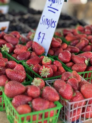 San Mateo Farmers' Market by null
