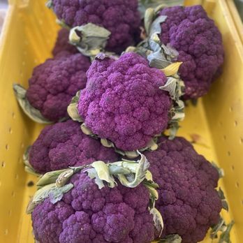 Briermere Farms - Bakeries Near Me - Riverhead, New York