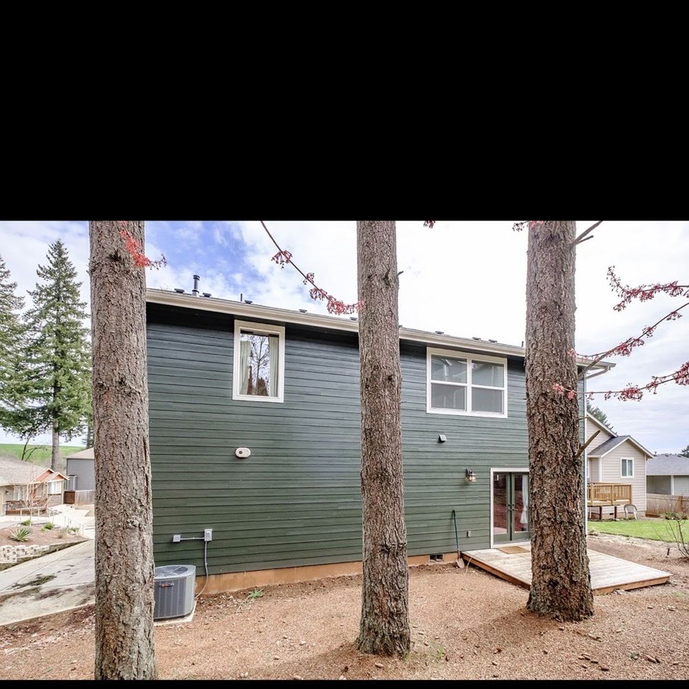 Tree North  Tree Service - Before - Tree Services Near Me