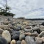 Photo of Saltar's Point Park