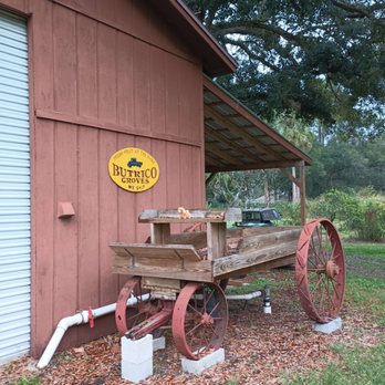 Butrico Groves - Fruits & Veggies Near Me - Mims, Florida Butrico Groves - Fruits & Veggies Near Me - Mims, Florida