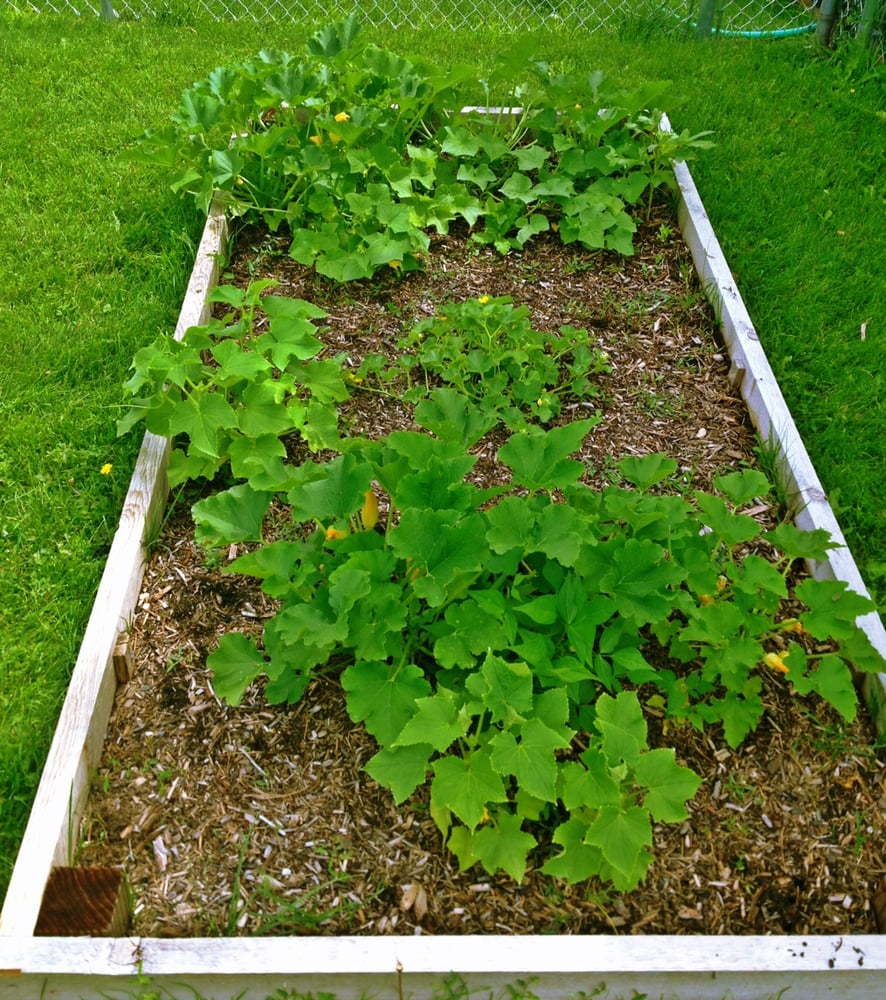 The Sky's the Limit Preschool - childcare center in Arvada, CO
