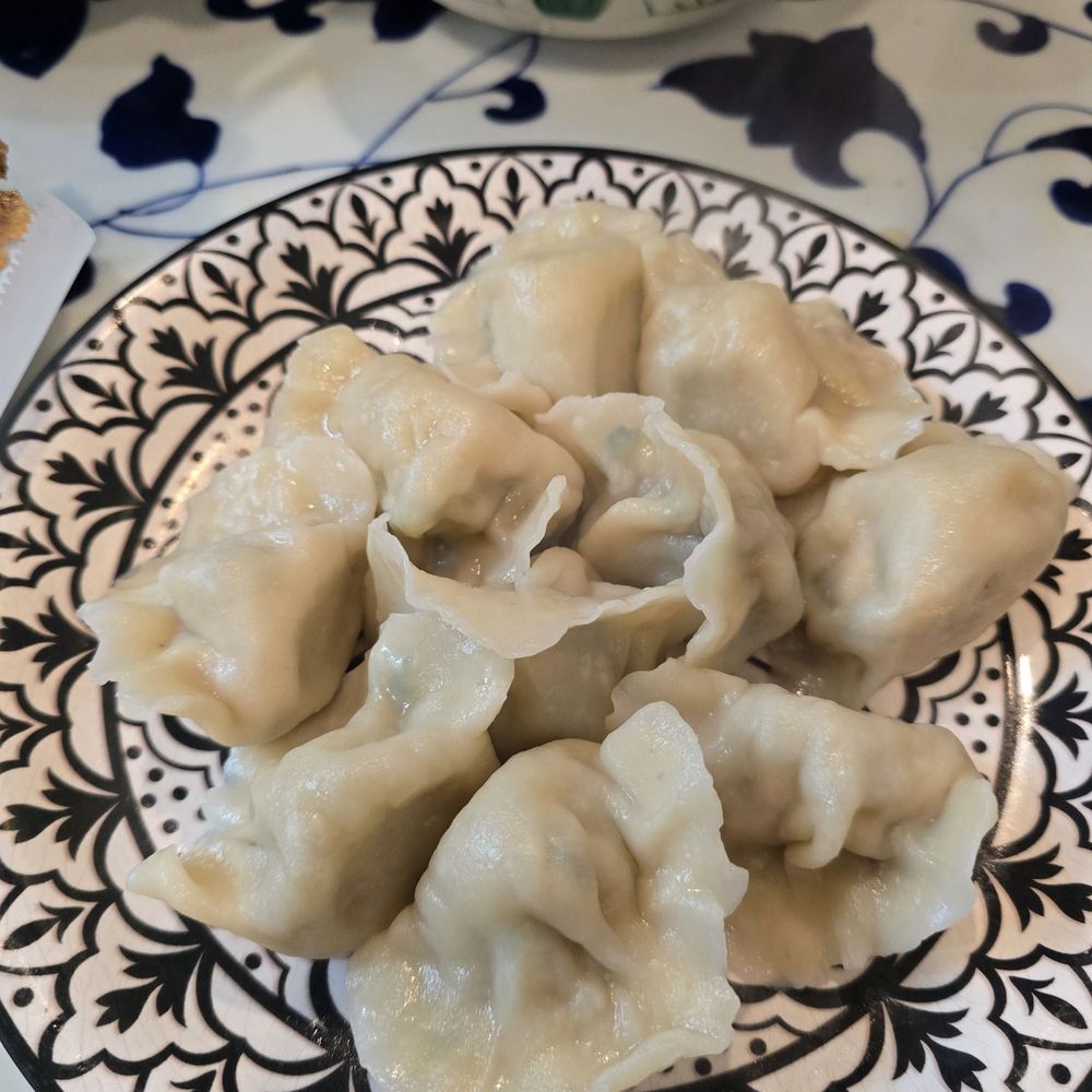 Changan Kitchen - 10 Piece Lamb and Green Onion Dumplings - Dim Sum Near Me - Chino Hills, California