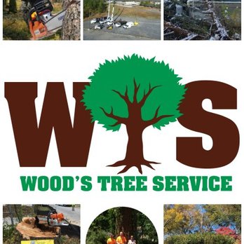 Wood's Tree Service - Wood's Tree Service - Tree Services Near Me Wood's Tree Service - Wood's Tree Service - Tree Services Near Me