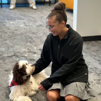 Bailey Orthodontics - With, Snickers, the newest support doggie. - Orthodontists Near Me - Surprise, Arizona Bailey Orthodontics - With, Snickers, the newest support doggie. - Orthodontists Near Me - Surprise, Arizona