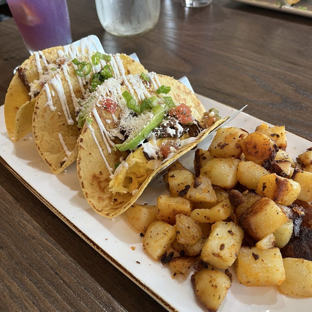 First Watch - Barbacoa Breakfast Tacos - Breakfast & Brunch Near Me - St. Petersburg, Florida First Watch - Barbacoa Breakfast Tacos - Breakfast & Brunch Near Me - St. Petersburg, Florida