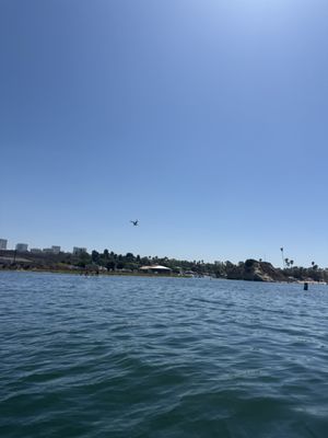 Pirate Coast Paddle Co by null