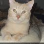 Photo of Essington Road Animal Hospital