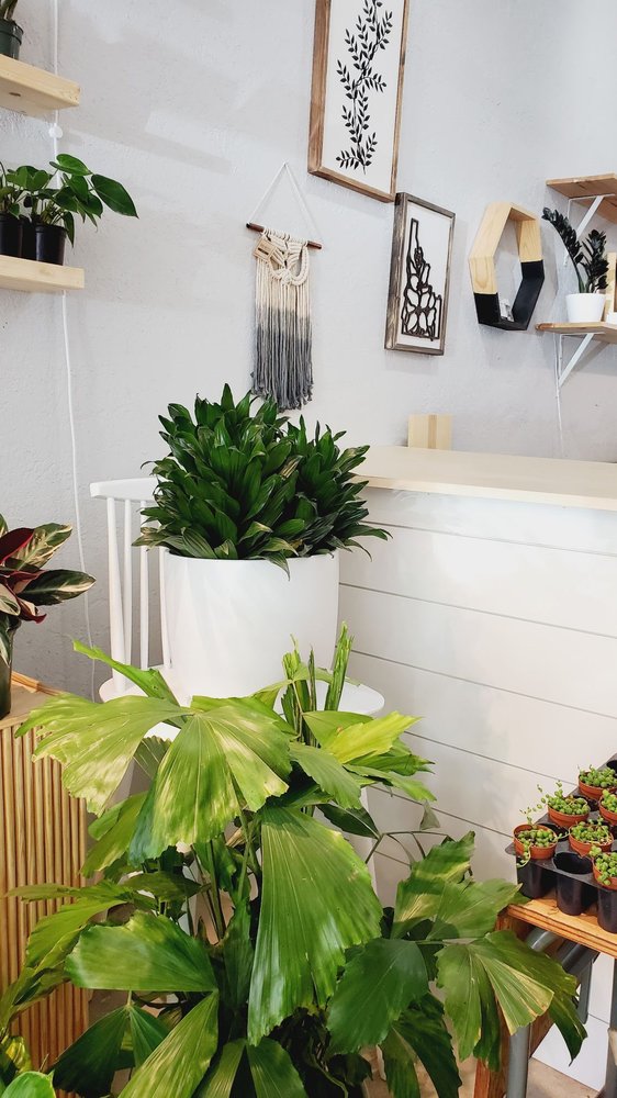 COFFEE PLANT REPEAT Updated September 2024 132 E Idaho Ave