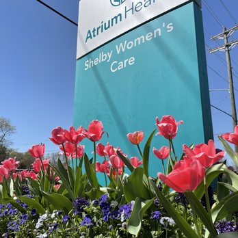 Paradise Landscaping - a sign for an airium tech stadium women's care - Landscaping Near Me - Shelby, North Carolina Paradise Landscaping - a sign for an airium tech stadium women's care - Landscaping Near Me - Shelby, North Carolina