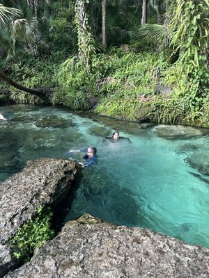 Kelly Park - Rock Springs by null