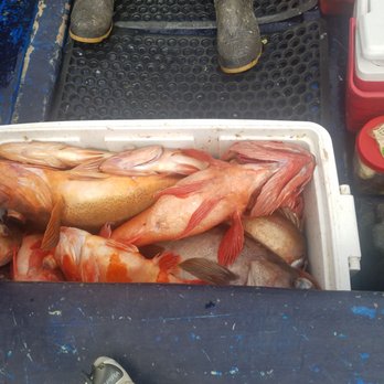 Villarino Camping - Great catch in about 4 hrs. - Campgrounds Near Me - Ensenada, BCN Villarino Camping - Great catch in about 4 hrs. - Campgrounds Near Me - Ensenada, BCN