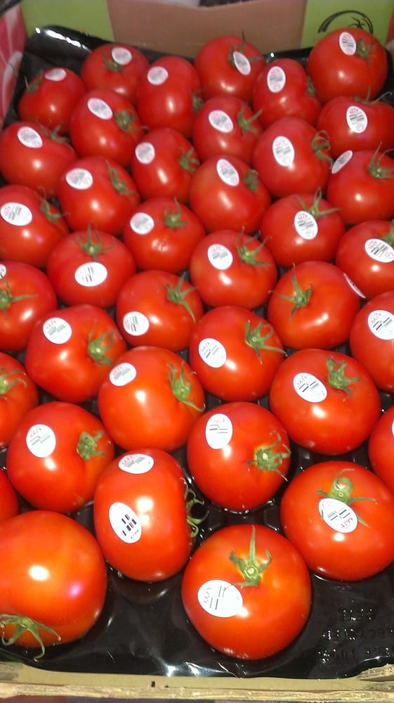 Borderlands Food Bank P O W W O W - social services organization in Tucson, AZ