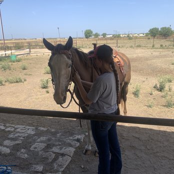 Until Grace Horsemanship - Horse Boarding Near Me Until Grace Horsemanship - Horse Boarding Near Me