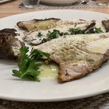 Plori Restaurant - Greek Near Me - Carle Place, New York