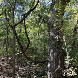 Coppell Nature Park