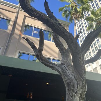 YOLO - New American Near Me - Fort Lauderdale, Florida YOLO - New American Near Me - Fort Lauderdale, Florida