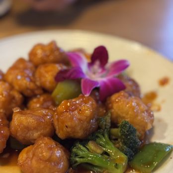 Zen Dumpling - Soup Near Me - Orlando, Florida