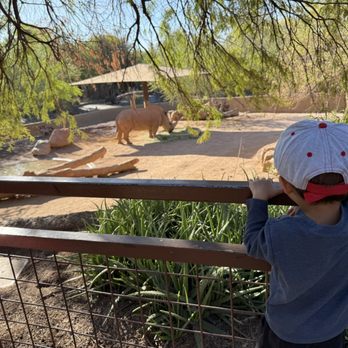 Phoenix Zoo - Zoos Near Me - Phoenix, Arizona