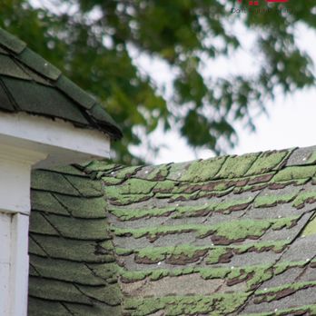 Do It Right Roofing - watch out for and how to extend your roof's lifespan? Read the full article here: https://dir-roofing.com/common-roofing-issues-tacoma-wa/ - Roofing Near Me - Tacoma, Washington Do It Right Roofing - watch out for and how to extend your roof's lifespan? Read the full article here: https://dir-roofing.com/common-roofing-issues-tacoma-wa/ - Roofing Near Me - Tacoma, Washington