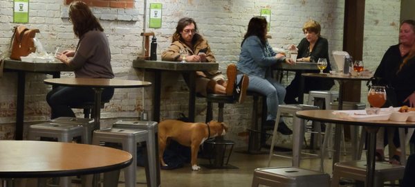 Service Brewing Co. by null