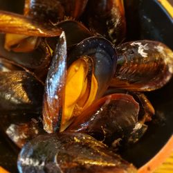 Mamaguaja - Mejillones