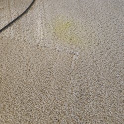 Oxi Fresh Carpet Cleaning - Stain