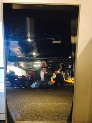 We The Curious by null